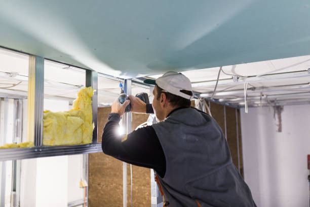 Best Eco-Friendly Insulation in Stapleton, AL