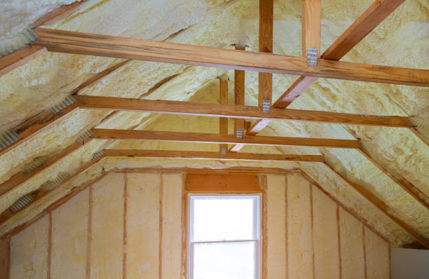 Best Cellulose Insulation in Stapleton, AL