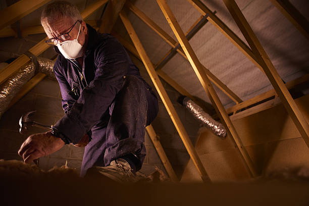 Professional Insulation Contractor in Stapleton, AL